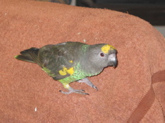 ImageIMG_0055