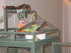 ImageIMG_0082