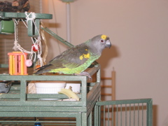 ImageIMG_0083