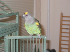 ImageIMG_66