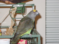 ImageIMG_67