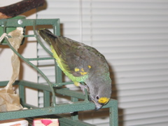 ImageIMG_69