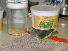 ImageIMG_82