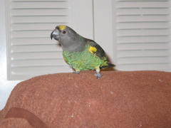 ImageIMG_0078