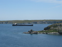 Ship - Bay Roberts