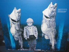 Old time Cod - Bonavista