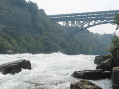 Image-56A82DE06EFA11D9